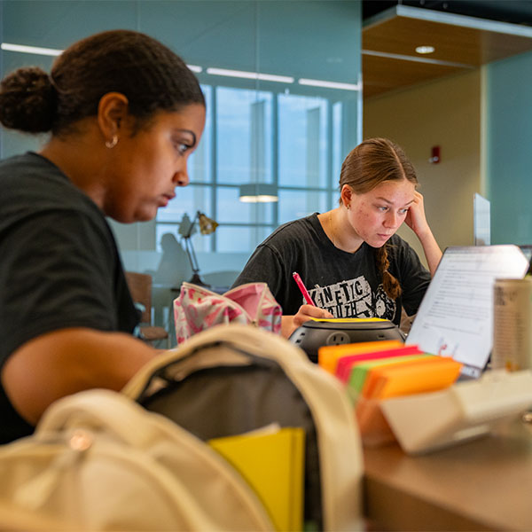 Two NICC students working at their laptops in the Calmar student center.