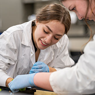 Students in a science lab