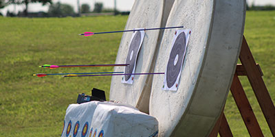 Archery targets with arrows in them