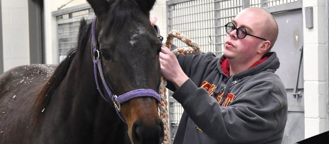 Jacob with horse