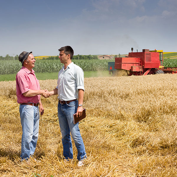 Farmers talking to each other in a field