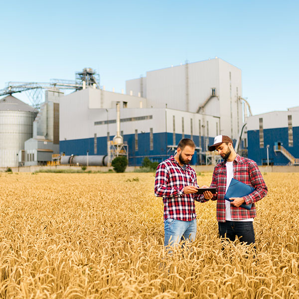 Farmers working in a field in front of a large building