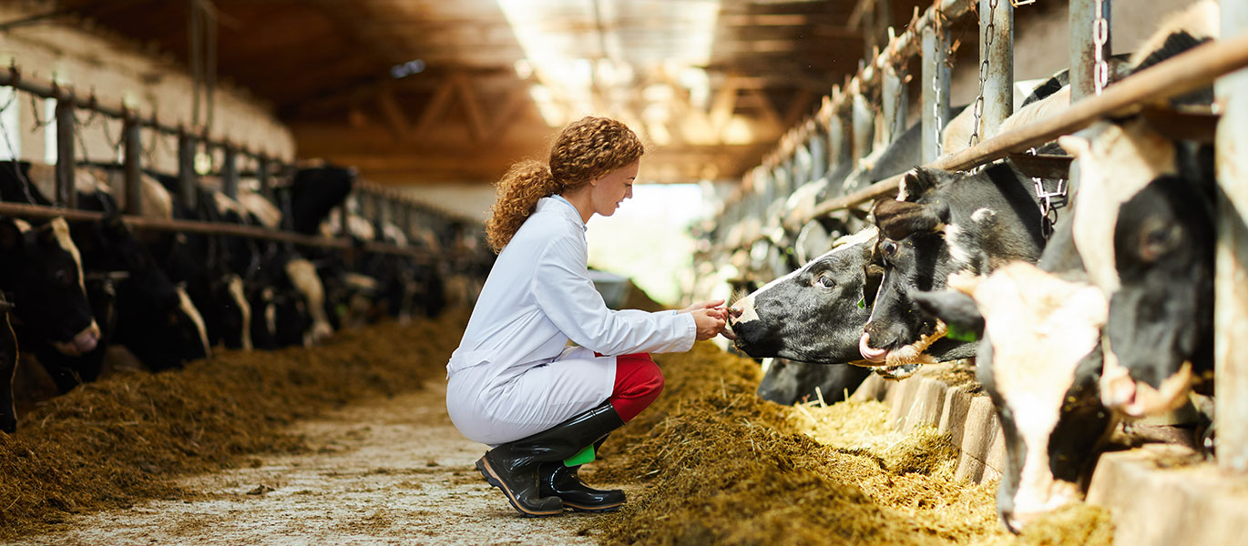 Animal Science Northeast Iowa Community College