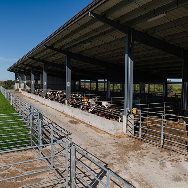 Beef barn on campus