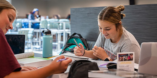 female student working in the library